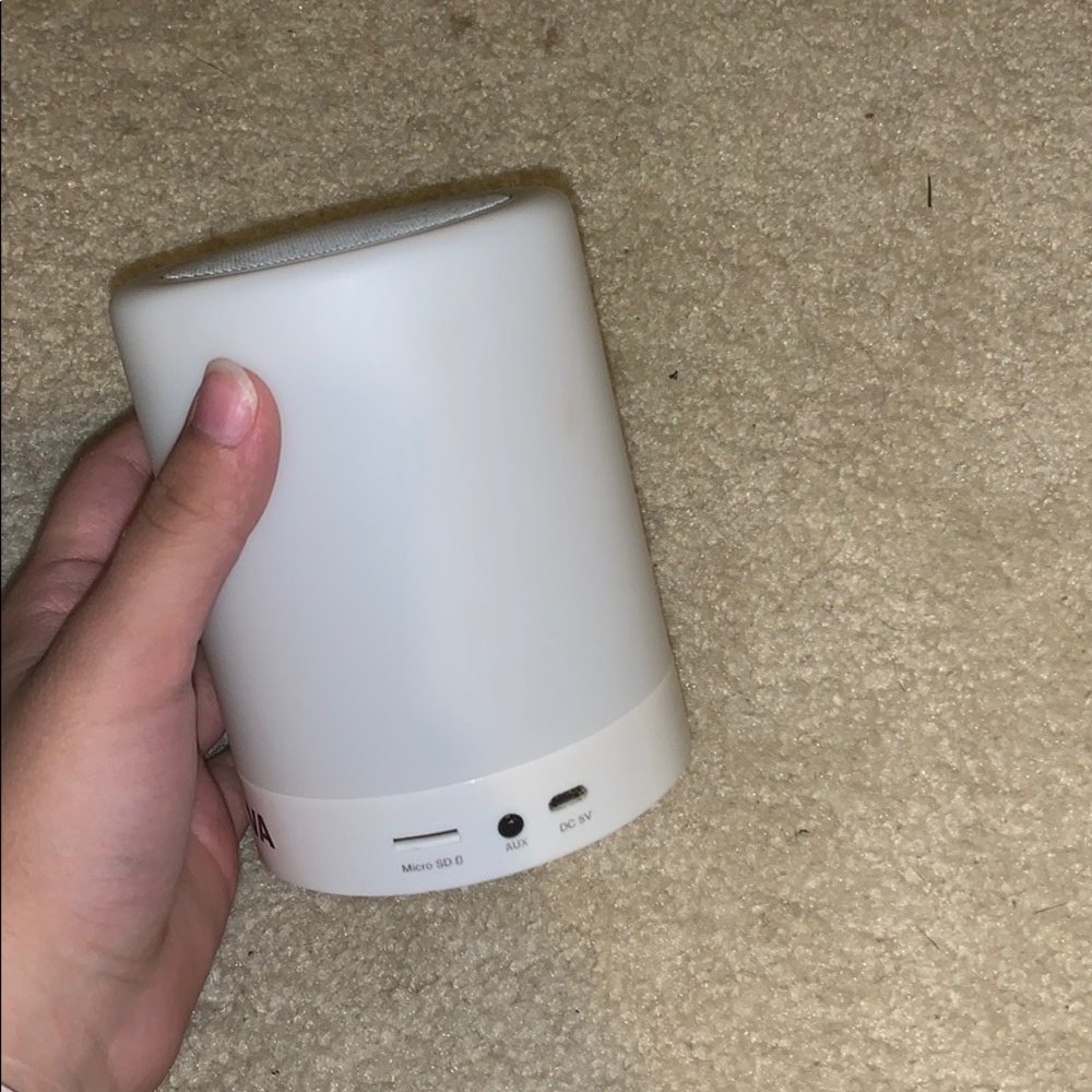 Speaker